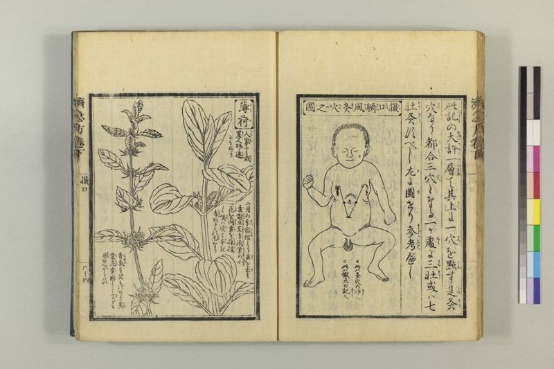 広恵済急方 3巻 - ページ 295
