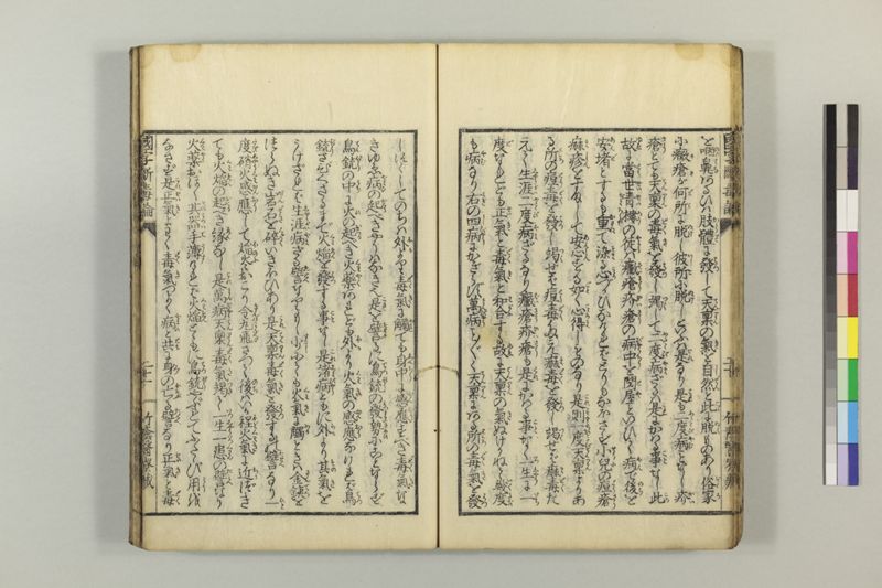 国字断毒論 1巻附1巻 - ページ 29
