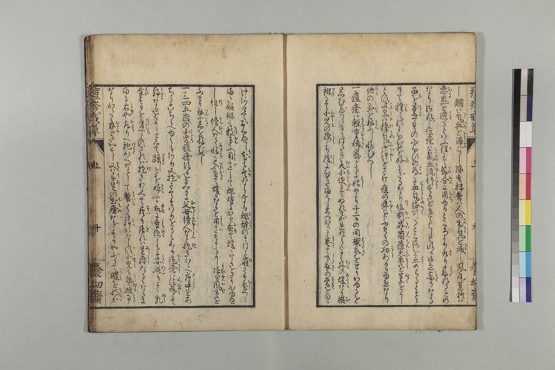 国字痘疹戒草 3巻 - ページ 17
