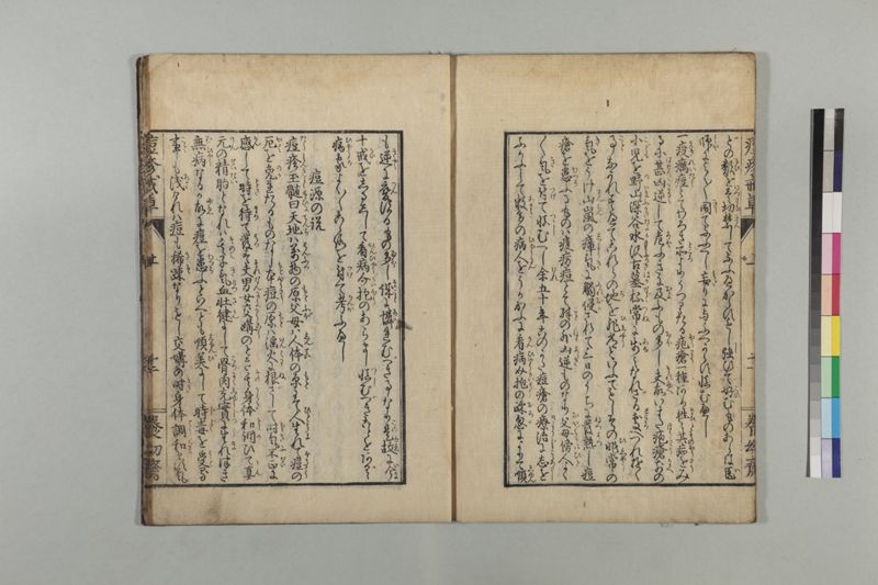 国字痘疹戒草 3巻 - ページ 19