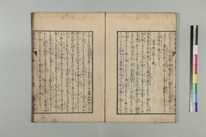 国字痘疹戒草 3巻 - ページ 22