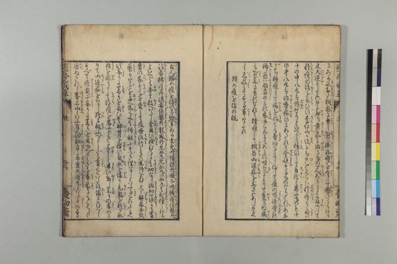 国字痘疹戒草 3巻 - ページ 24