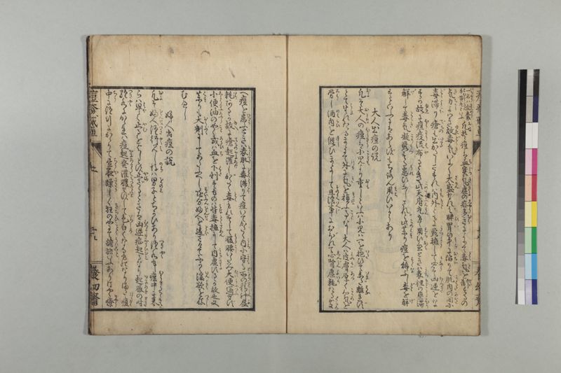 国字痘疹戒草 3巻 - ページ 26