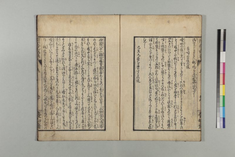 国字痘疹戒草 3巻 - ページ 27