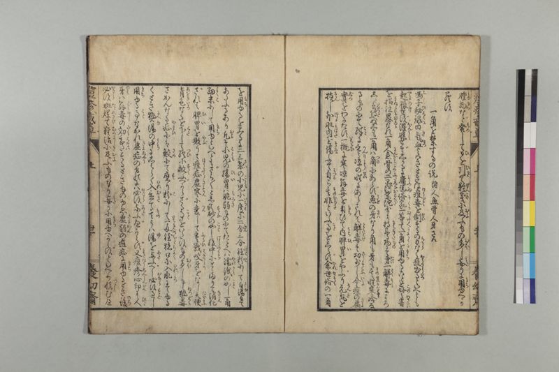 国字痘疹戒草 3巻 - ページ 28