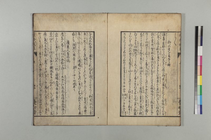 国字痘疹戒草 3巻 - ページ 29