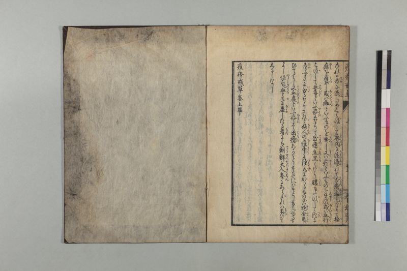 国字痘疹戒草 3巻 - ページ 30