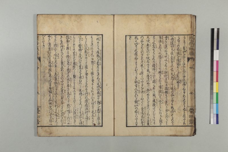 国字痘疹戒草 3巻 - ページ 41