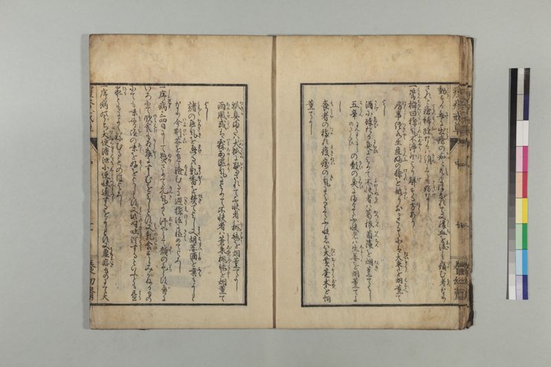 国字痘疹戒草 3巻 - ページ 43