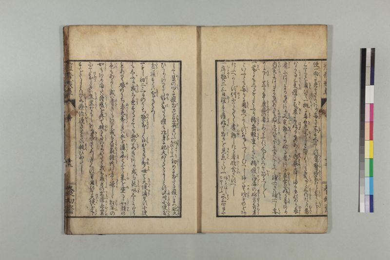 国字痘疹戒草 3巻 - ページ 45