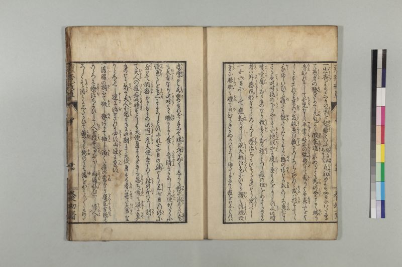国字痘疹戒草 3巻 - ページ 46