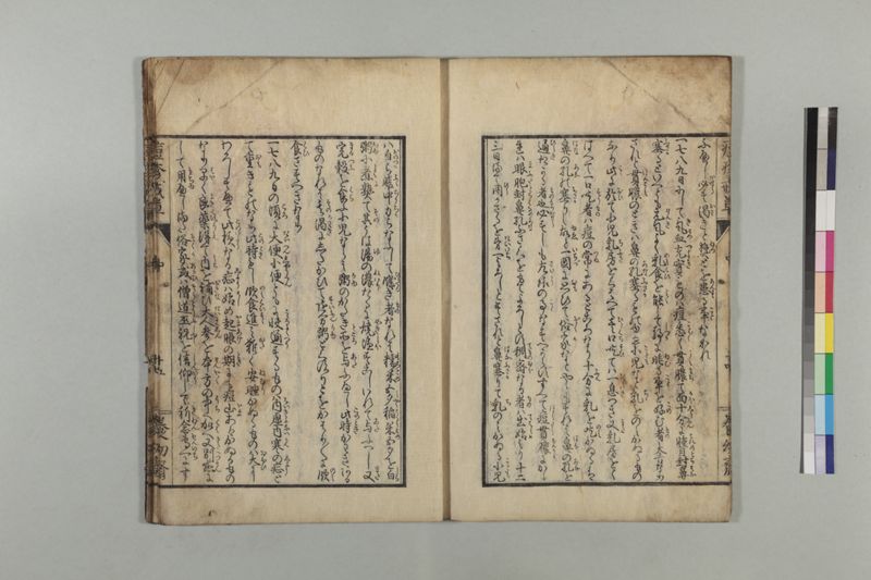 国字痘疹戒草 3巻 - ページ 47