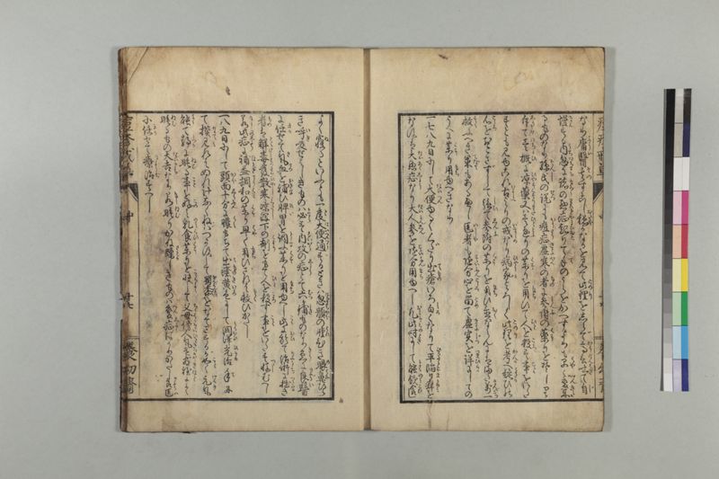 国字痘疹戒草 3巻 - ページ 49