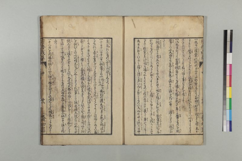 国字痘疹戒草 3巻 - ページ 50