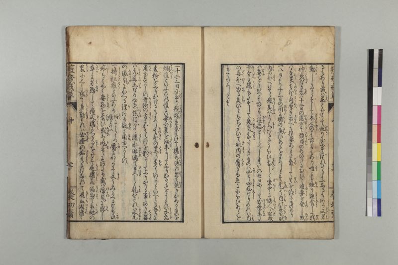 国字痘疹戒草 3巻 - ページ 52