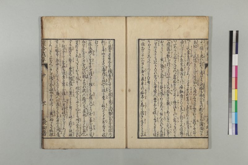 国字痘疹戒草 3巻 - ページ 53