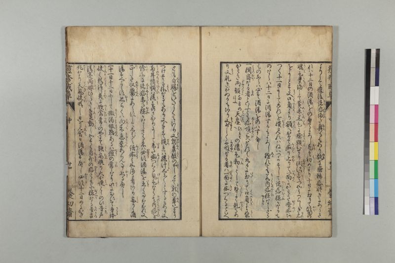 国字痘疹戒草 3巻 - ページ 56
