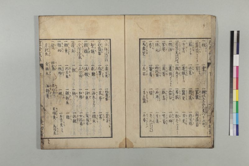 国字痘疹戒草 3巻 - ページ 65