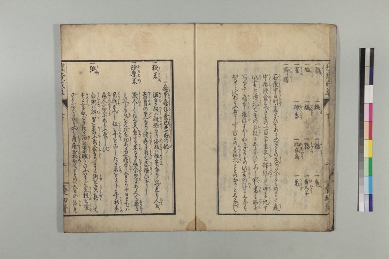 国字痘疹戒草 3巻 - ページ 66