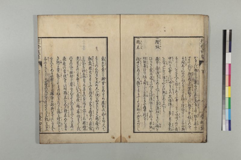 国字痘疹戒草 3巻 - ページ 67