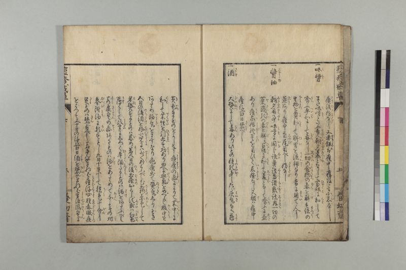 国字痘疹戒草 3巻 - ページ 69