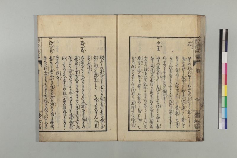 国字痘疹戒草 3巻 - ページ 74