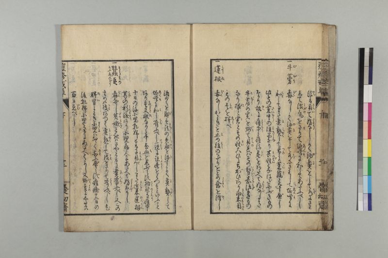 国字痘疹戒草 3巻 - ページ 75
