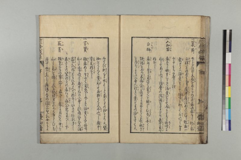 国字痘疹戒草 3巻 - ページ 77
