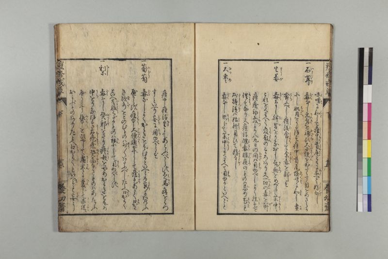 国字痘疹戒草 3巻 - ページ 79
