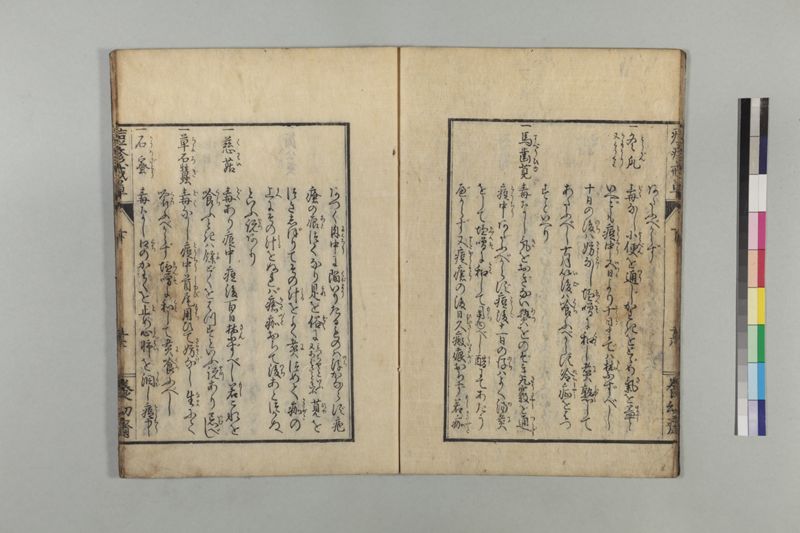 国字痘疹戒草 3巻 - ページ 80