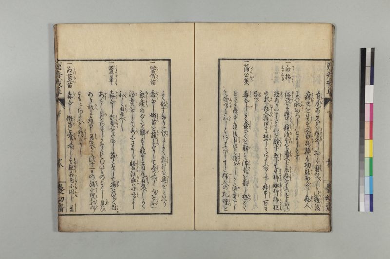 国字痘疹戒草 3巻 - ページ 81