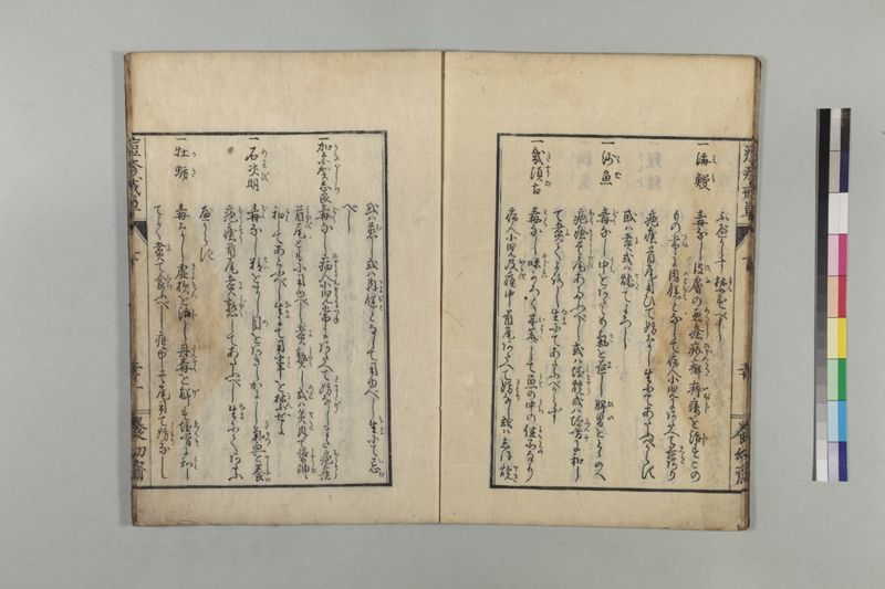 国字痘疹戒草 3巻 - ページ 84