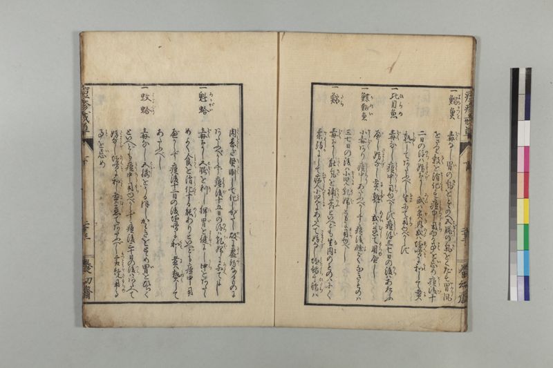 国字痘疹戒草 3巻 - ページ 86