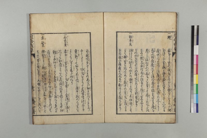 国字痘疹戒草 3巻 - ページ 87