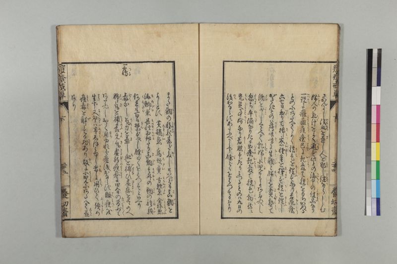 国字痘疹戒草 3巻 - ページ 88