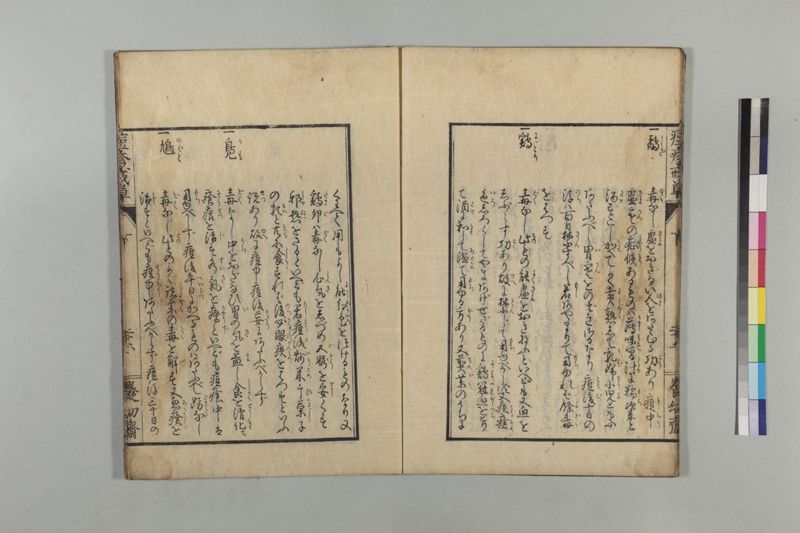 国字痘疹戒草 3巻 - ページ 89