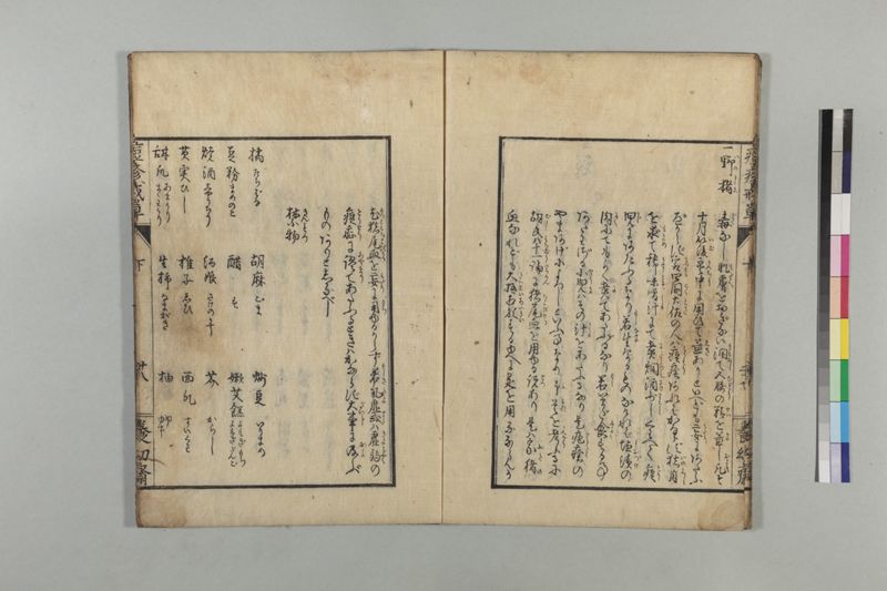 国字痘疹戒草 3巻 - ページ 91