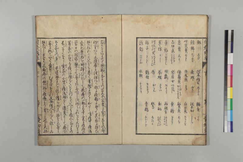 国字痘疹戒草 3巻 - ページ 93