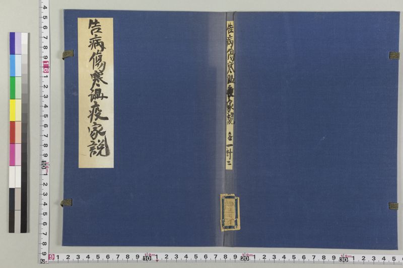 告病傷寒温疫家説 - ページ 2