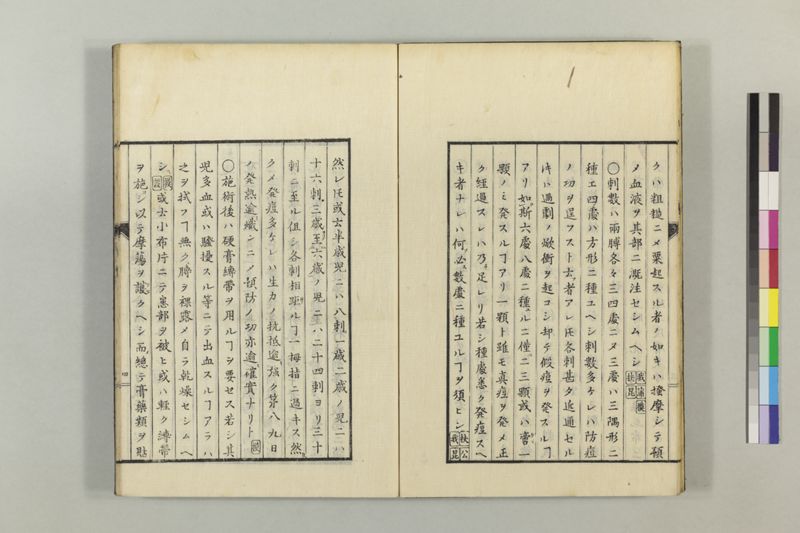 散花錦嚢 2巻 - ページ 13
