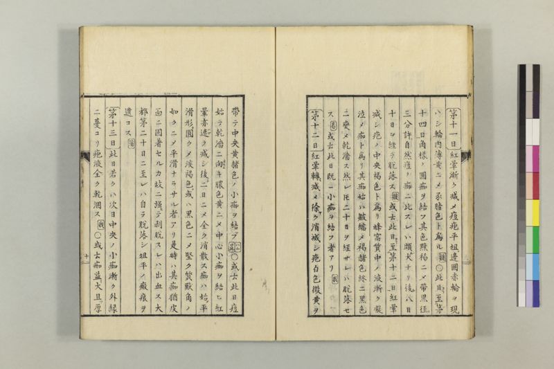 散花錦嚢 2巻 - ページ 19