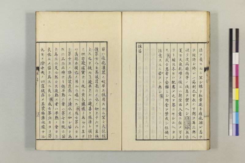 散花錦嚢 2巻 - ページ 25