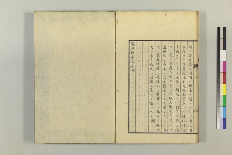 散花錦嚢 2巻 - ページ 29