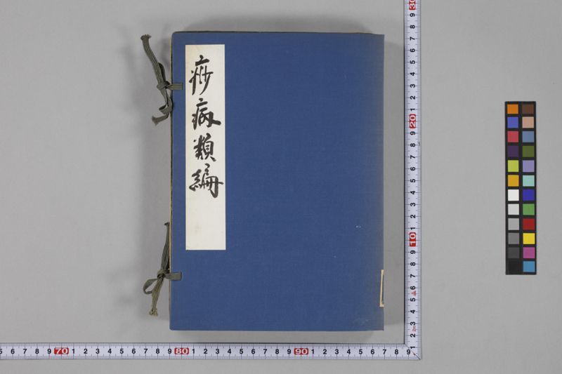 痧病類記 2巻 - ページ 1