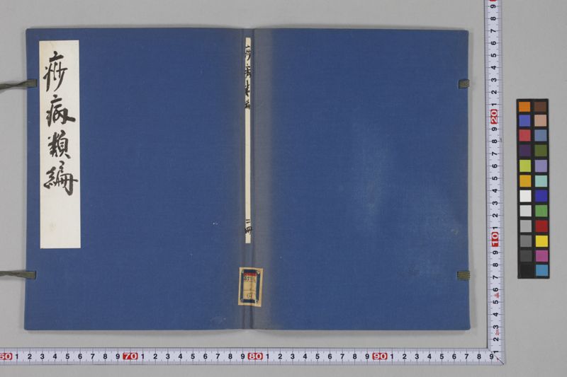 痧病類記 2巻 - ページ 2