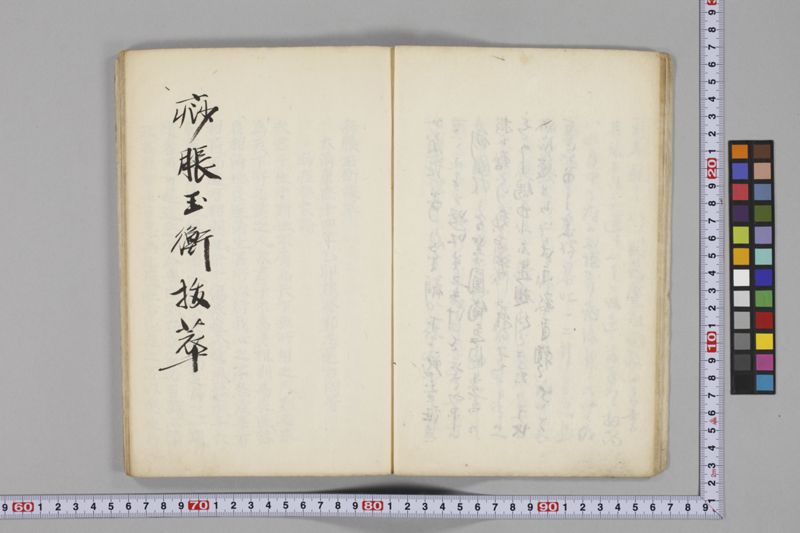 痧病類記 2巻 - ページ 11