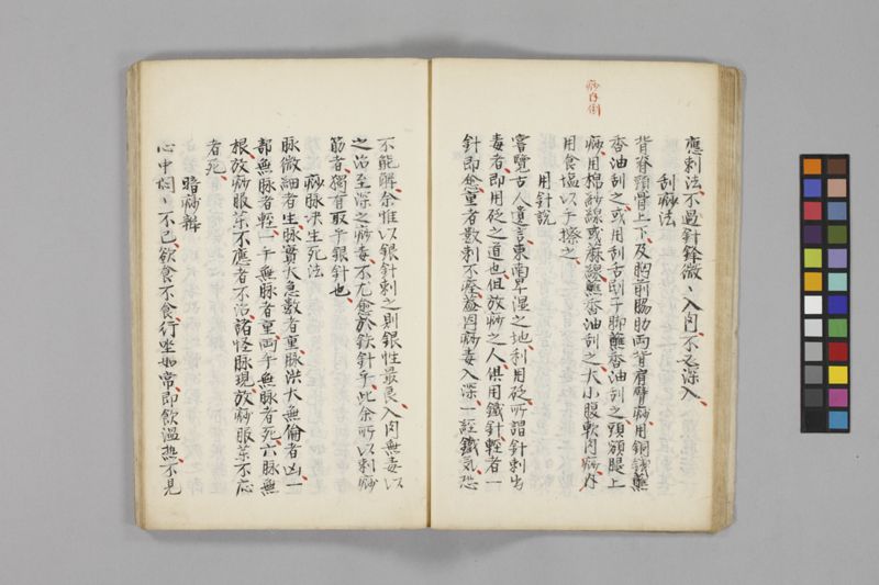 痧病類記 2巻 - ページ 19