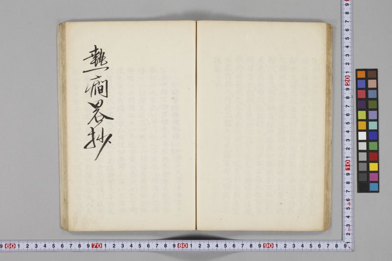 痧病類記 2巻 - ページ 31
