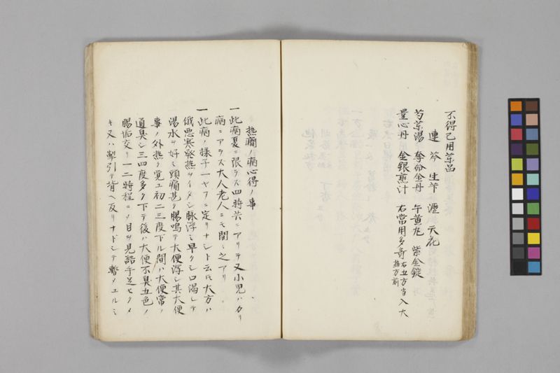 痧病類記 2巻 - ページ 41