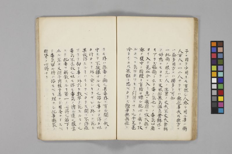 痧病類記 2巻 - ページ 43